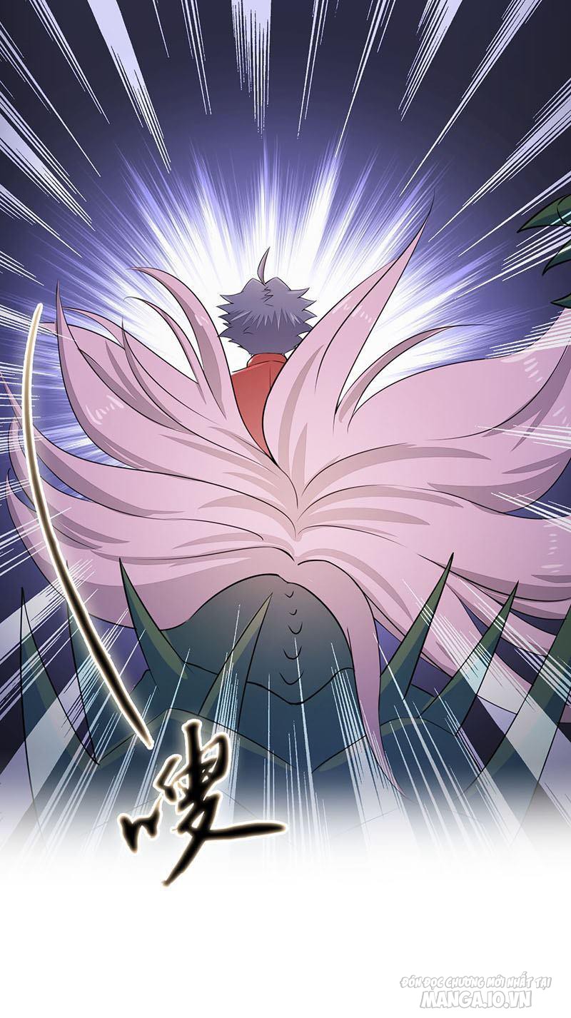 Địa Ngục Này Ta Mở Ra Đấy Chapter 66 - Trang 2