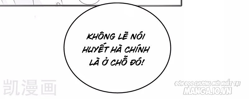 Địa Ngục Này Ta Mở Ra Đấy Chapter 77 - Trang 2