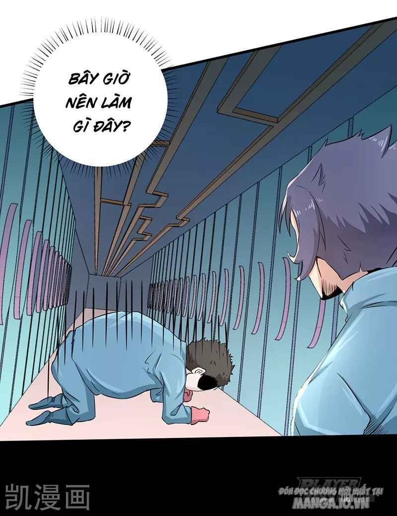 Địa Ngục Này Ta Mở Ra Đấy Chapter 79 - Trang 2