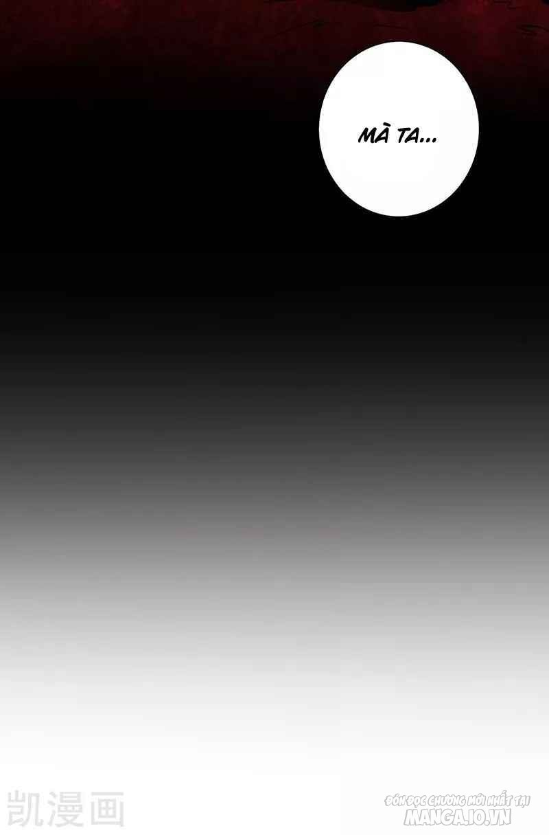 Địa Ngục Này Ta Mở Ra Đấy Chapter 88 - Trang 2