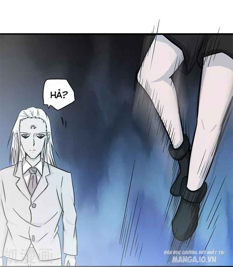 Địa Ngục Này Ta Mở Ra Đấy Chapter 88 - Trang 2