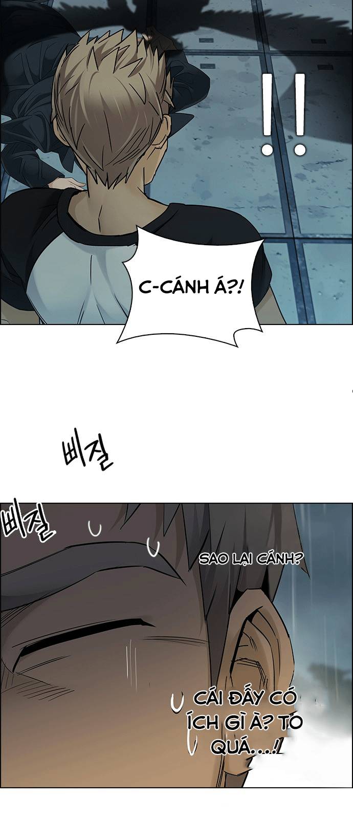 Dice Chapter 251 - Trang 2