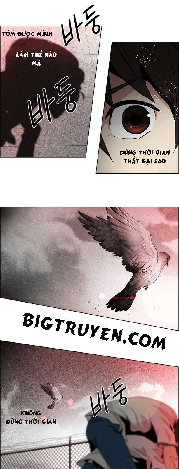 Dice Chapter 65 - Trang 2