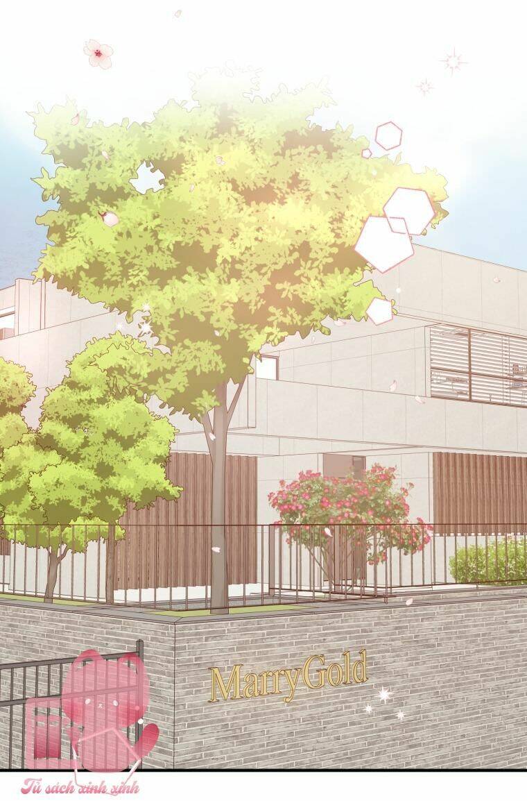 Dịch Vụ Chuyển Phát Hình Mẫu Lý Tưởng Chapter 2 - Trang 2