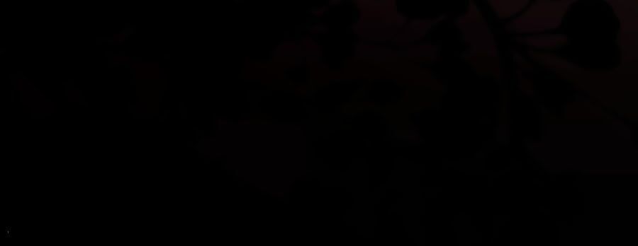 Điềm Mỹ Chi Huyết Chapter 5 - Trang 2