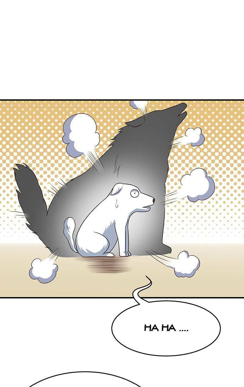 Diệu Thủ Cuồng Y Chapter 36 - Trang 2