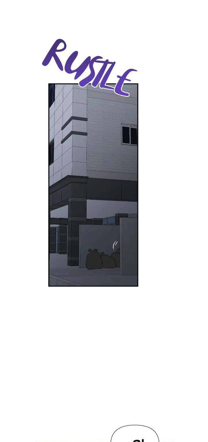 Điều Ước Sao Băng Chapter 17 - Trang 2