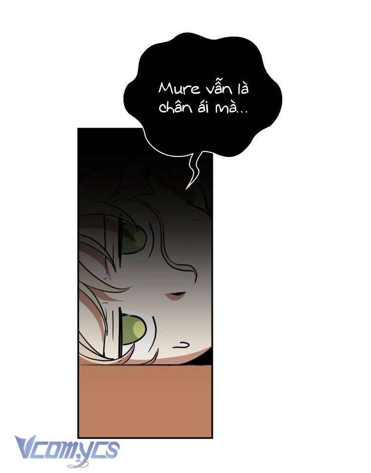 Điều Ước Sao Băng Chapter 2 - Trang 2