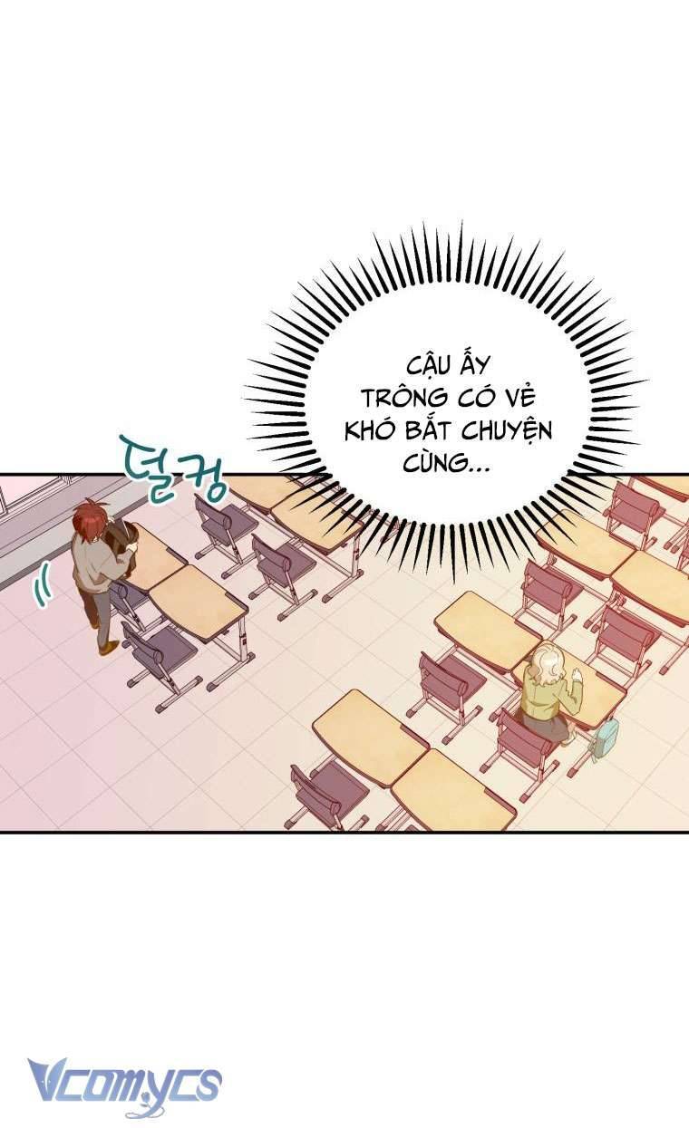 Điều Ước Sao Băng Chapter 2 - Trang 2