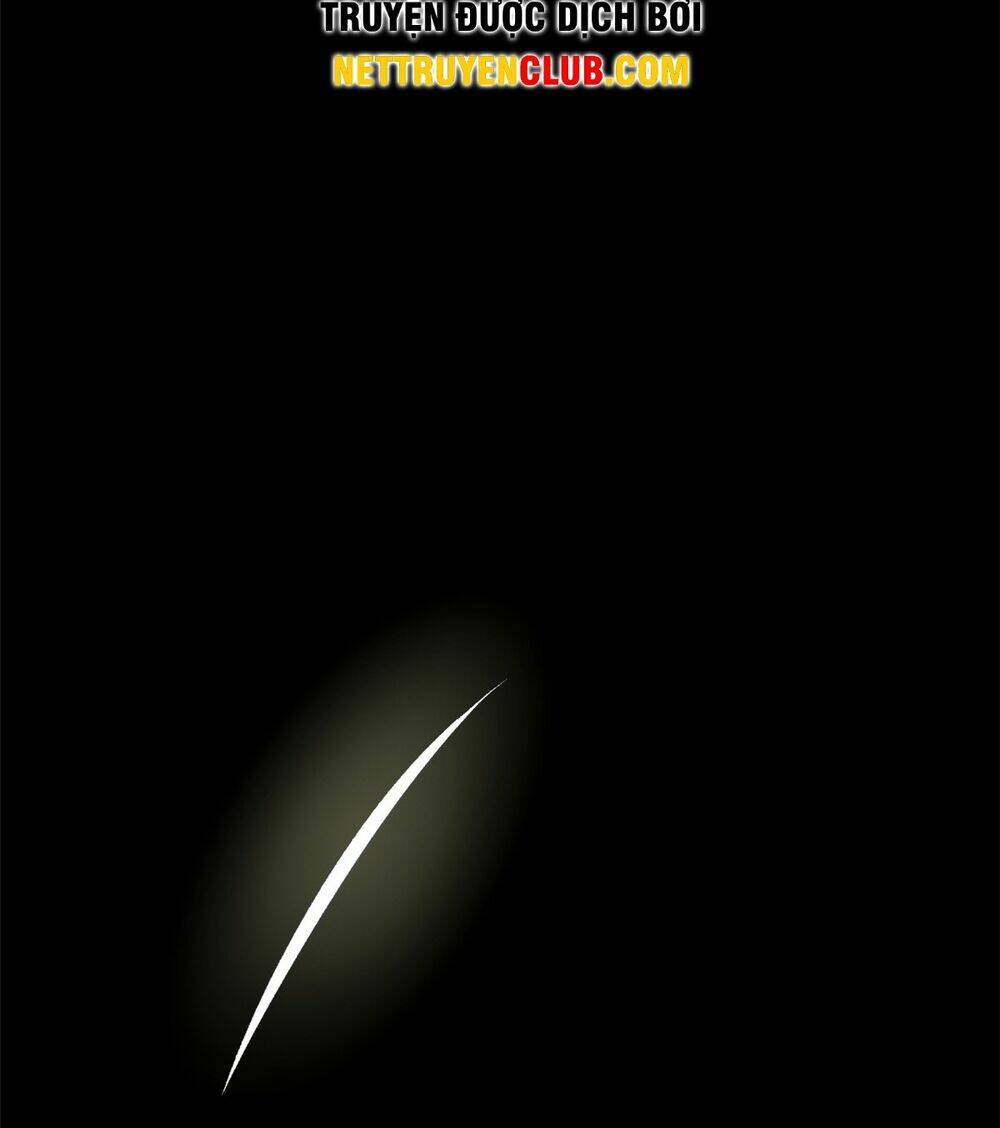Đỉnh Cấp Khí Vận, Lặng Lẽ Tu Luyện Ngàn Năm Chapter 146 - Trang 2