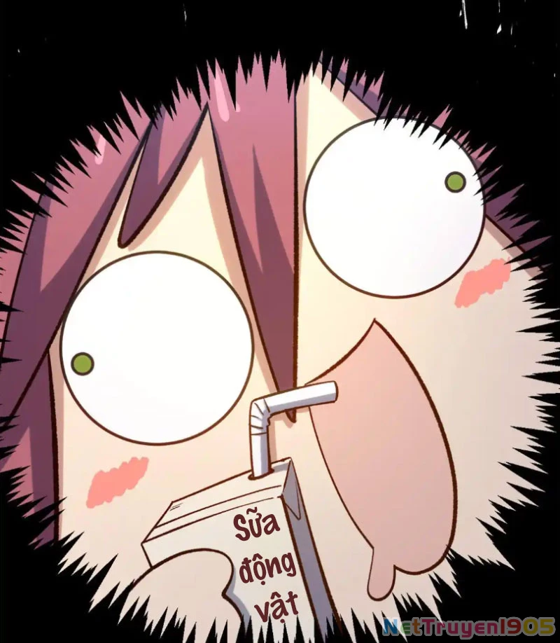 Đỉnh Cấp Khí Vận, Lặng Lẽ Tu Luyện Ngàn Năm Chapter 229 - Trang 2