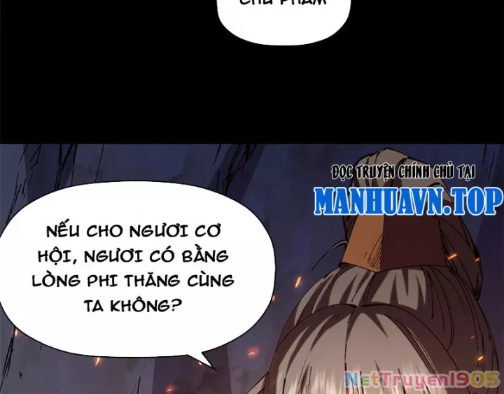 Đỉnh Cấp Khí Vận, Lặng Lẽ Tu Luyện Ngàn Năm Chapter 276 - Trang 2