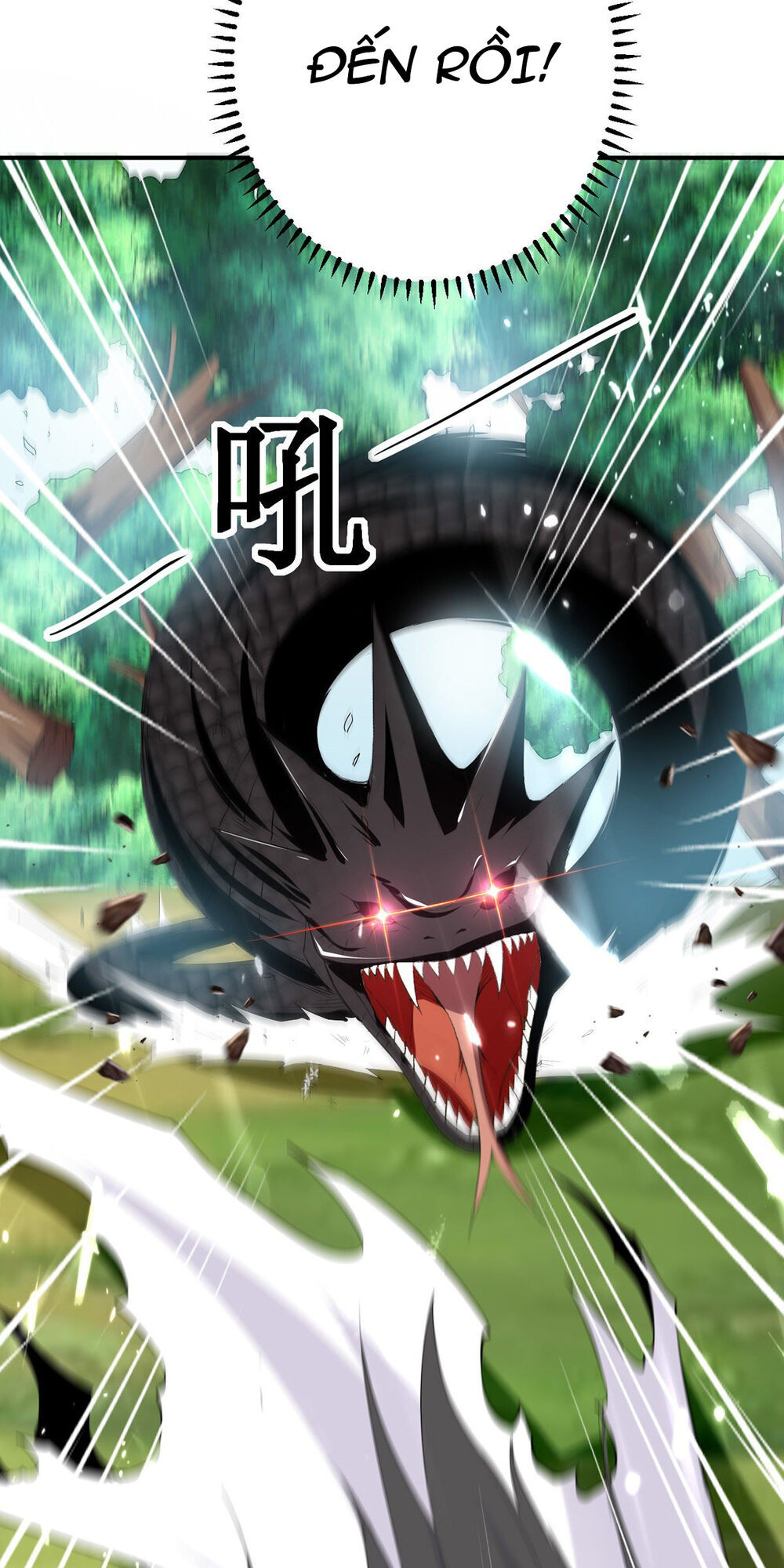 Đỉnh Cấp Võ Hồn Chapter 9 - Trang 2