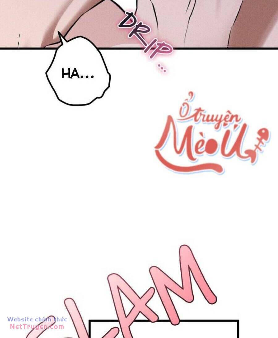 Dinh Thự Của Dã Thú Chapter 19 - Trang 2