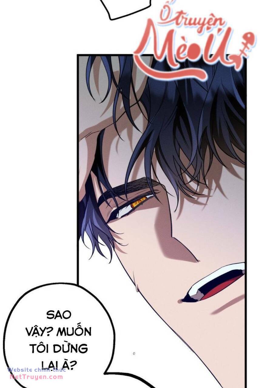 Dinh Thự Của Dã Thú Chapter 19 - Trang 2