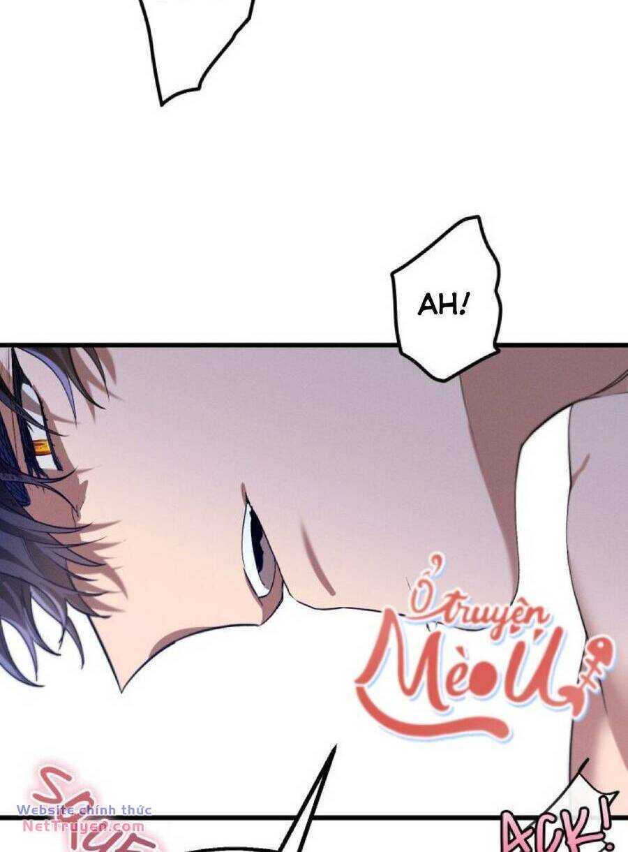 Dinh Thự Của Dã Thú Chapter 19 - Trang 2