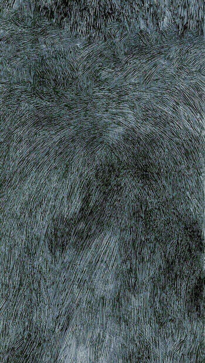 Distant Sky Chapter 0 - Trang 2