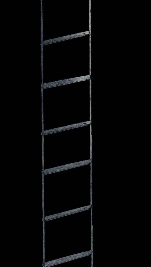 Distant Sky Chapter 31 - Trang 2