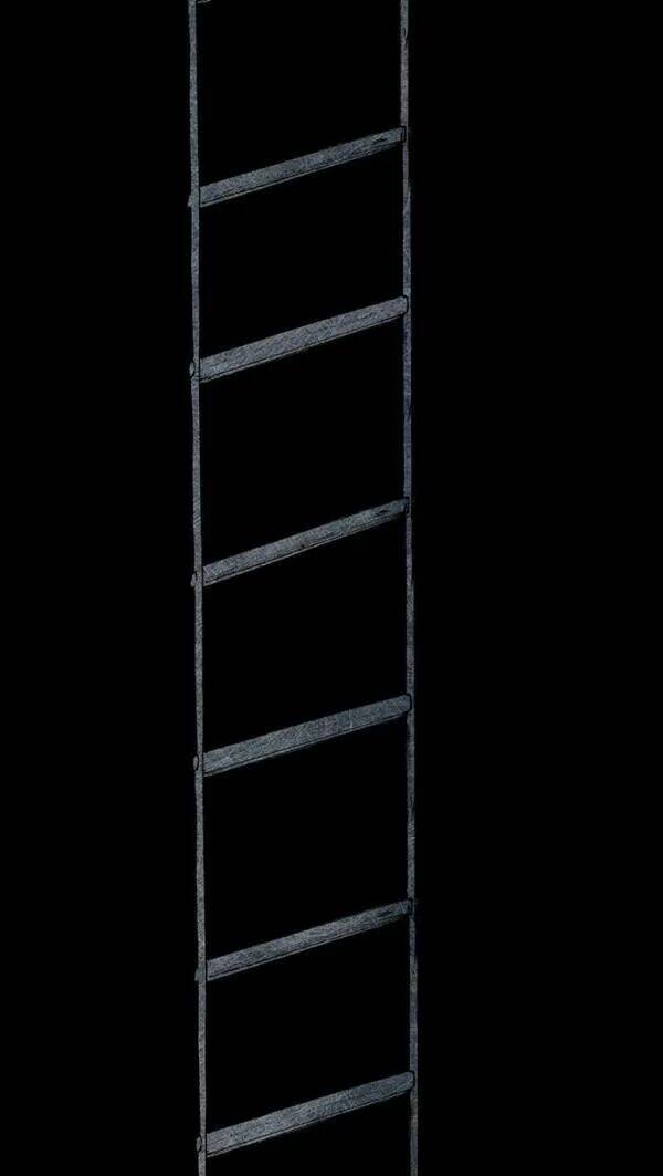 Distant Sky Chapter 31 - Trang 2