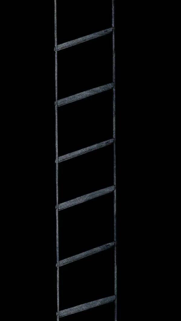 Distant Sky Chapter 31 - Trang 2