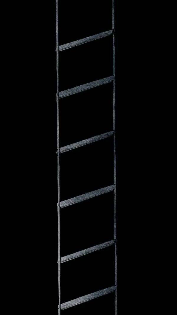 Distant Sky Chapter 31 - Trang 2