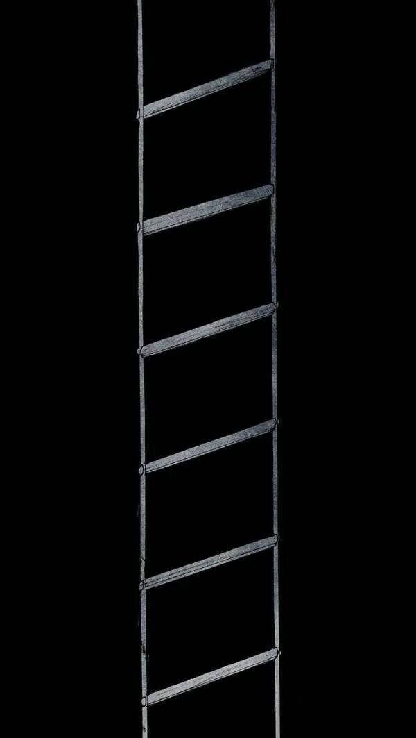 Distant Sky Chapter 31 - Trang 2