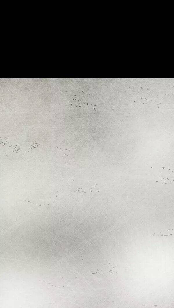 Distant Sky Chapter 33 - Trang 2