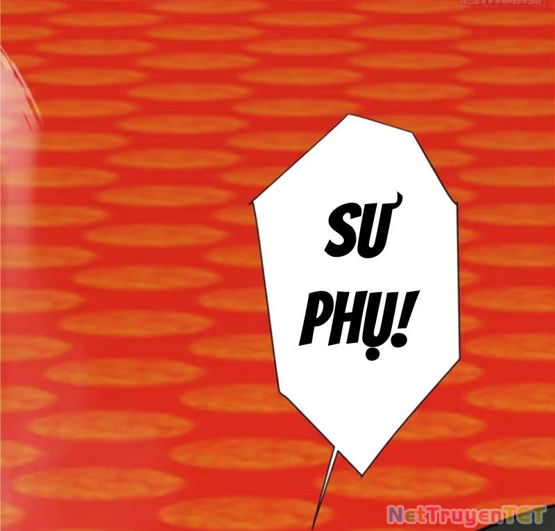 Đồ Đệ Của Ta Đều Là Đại Phản Phái Chapter 337 - Trang 2