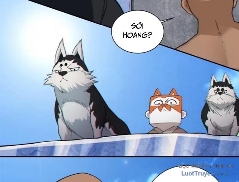 Đồ Đệ Của Ta Đều Là Đại Phản Phái Chapter 417 - Trang 2