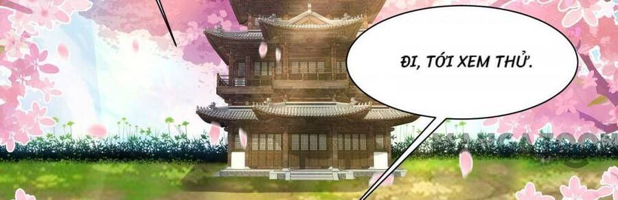 Đồ Đệ Của Ta Đều Là Nữ Ma Đầu Chapter 186 - Trang 2