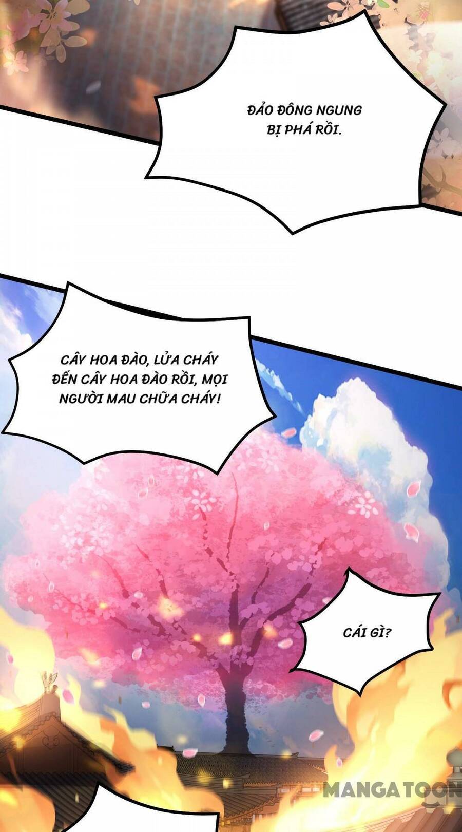 Đồ Đệ Của Ta Đều Là Nữ Ma Đầu Chapter 189 - Trang 2