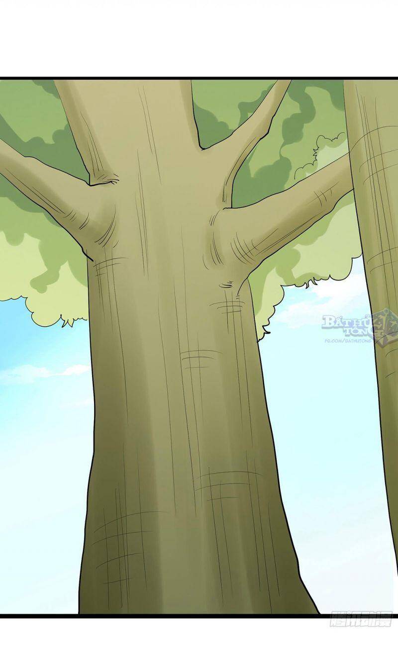 Đồ Đệ Của Ta Đều Là Nữ Ma Đầu Chapter 23 - Trang 2