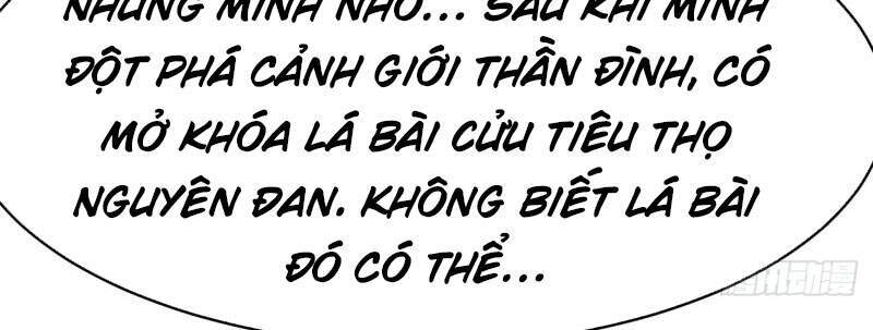 Đồ Đệ Của Ta Đều Là Nữ Ma Đầu Chapter 53 - Trang 2