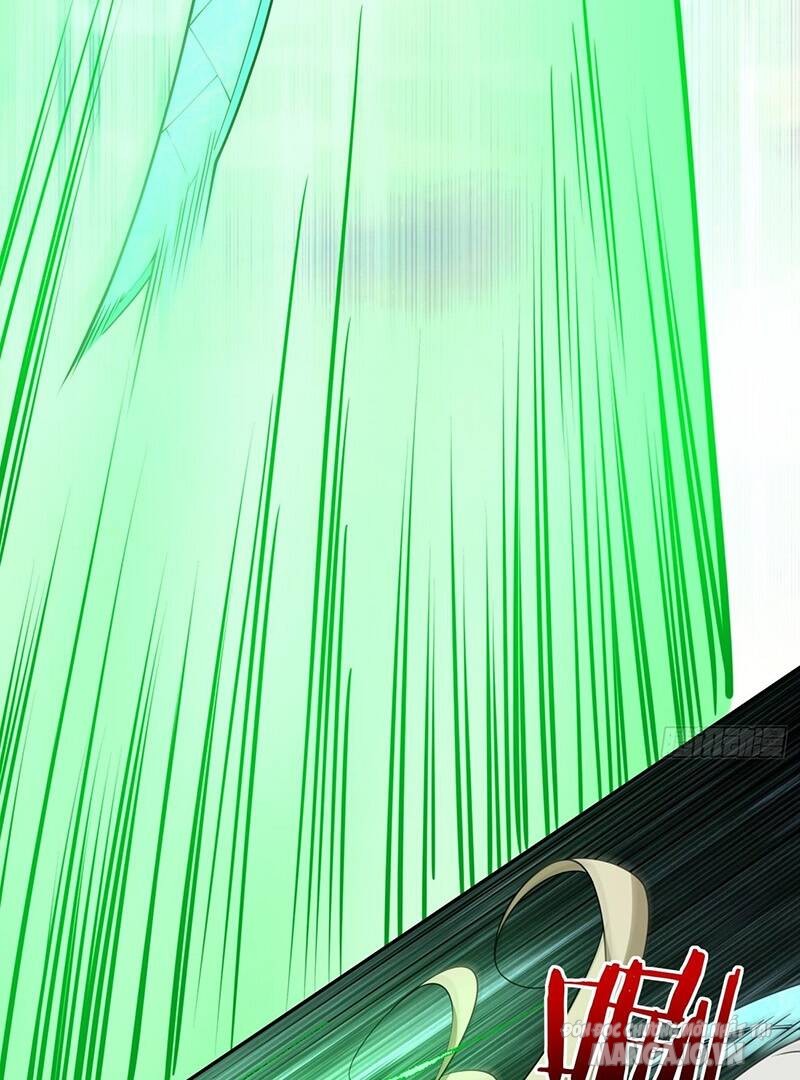 Đồ Đệ Của Ta Đều Là Trùm Phản Diện Chapter 108 - Trang 2