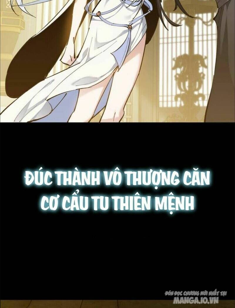 Đồ Đệ Của Ta Đều Là Trùm Phản Diện Chapter 114 - Trang 2