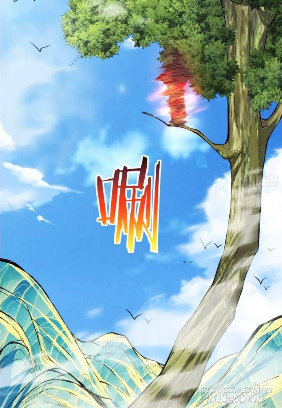 Đồ Đệ Của Ta Đều Là Trùm Phản Diện Chapter 134 - Trang 2