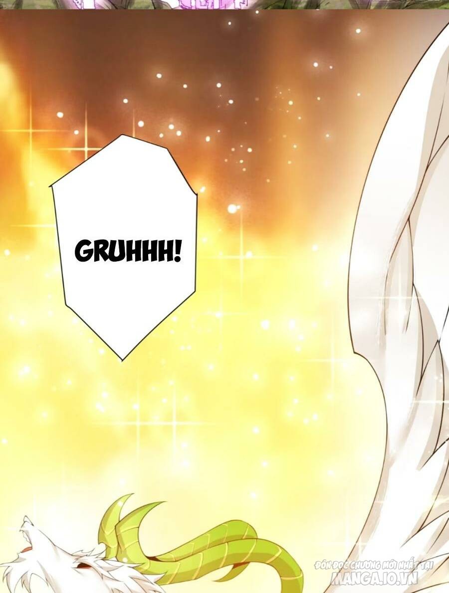 Đồ Đệ Của Ta Đều Là Trùm Phản Diện Chapter 147 - Trang 2