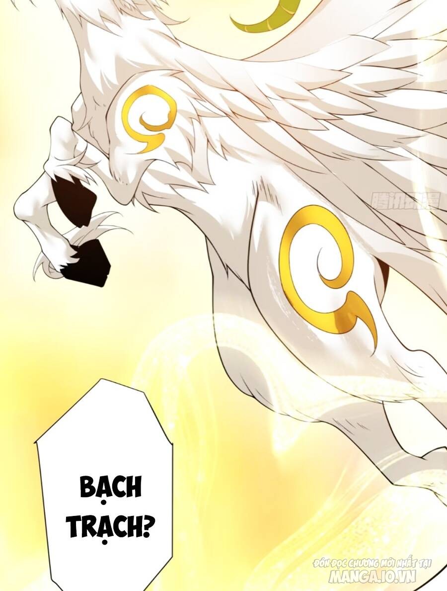 Đồ Đệ Của Ta Đều Là Trùm Phản Diện Chapter 147 - Trang 2