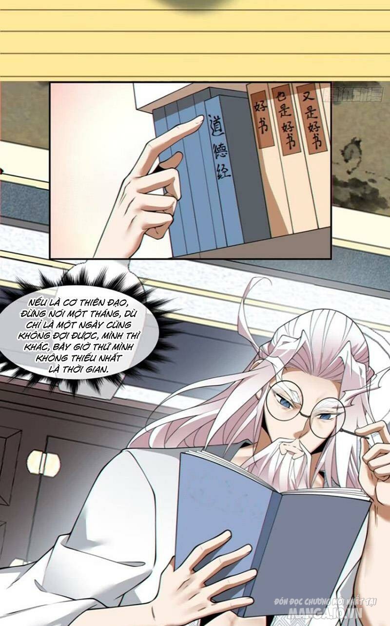 Đồ Đệ Của Ta Đều Là Trùm Phản Diện Chapter 164 - Trang 2