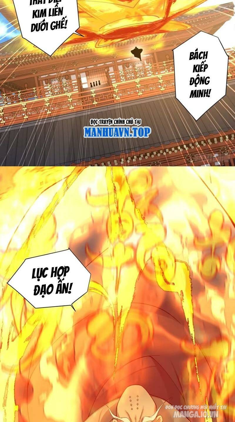 Đồ Đệ Của Ta Đều Là Trùm Phản Diện Chapter 164 - Trang 2