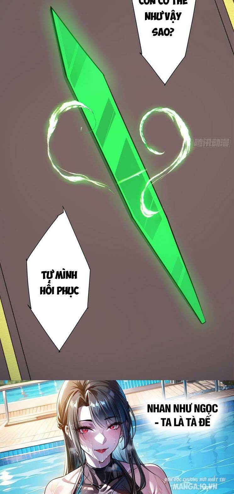 Đồ Đệ Của Ta Đều Là Trùm Phản Diện Chapter 178 - Trang 2