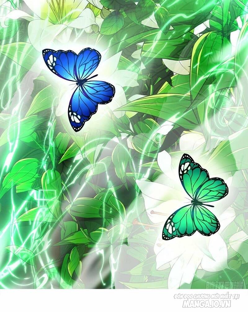 Đồ Đệ Của Ta Đều Là Trùm Phản Diện Chapter 38 - Trang 2