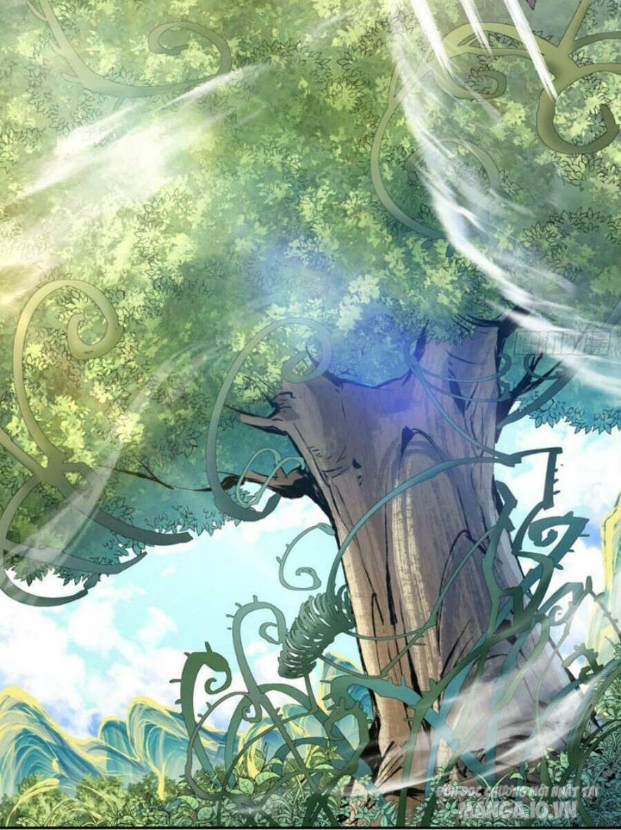 Đồ Đệ Của Ta Đều Là Trùm Phản Diện Chapter 40 - Trang 2