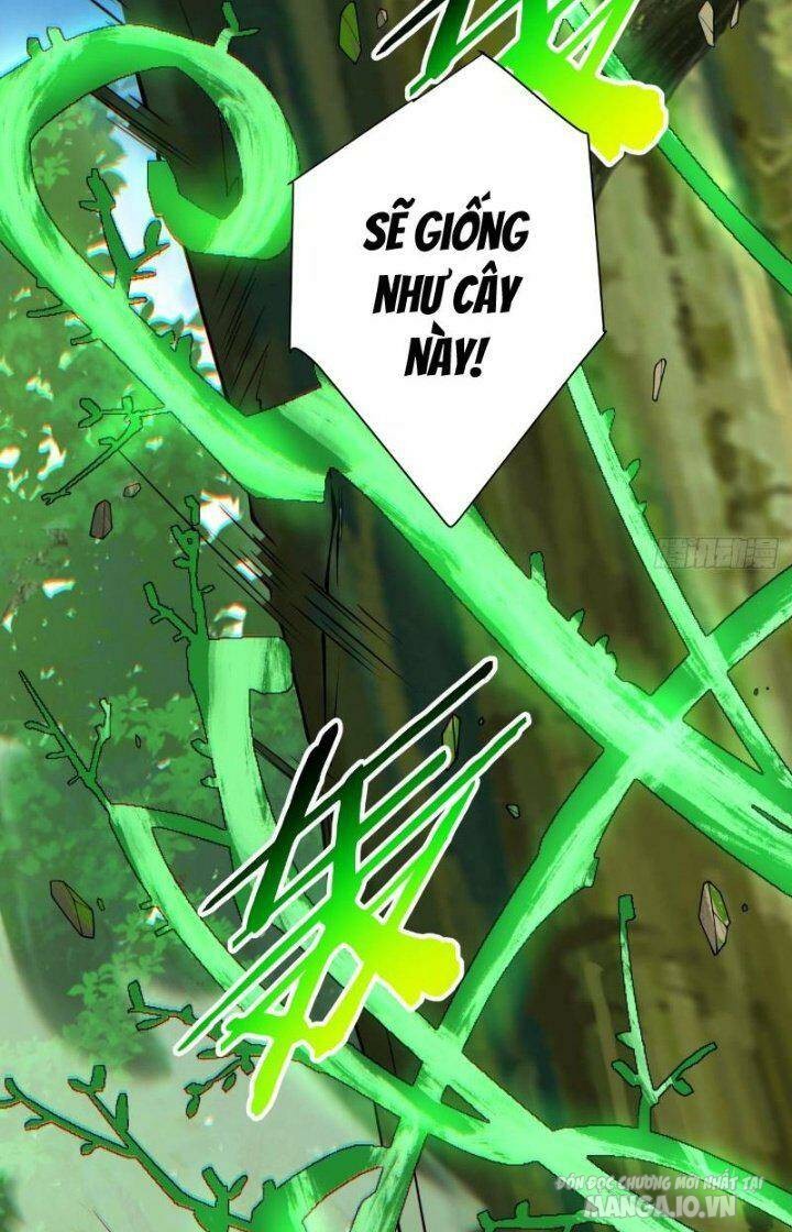 Đồ Đệ Của Ta Đều Là Trùm Phản Diện Chapter 75 - Trang 2