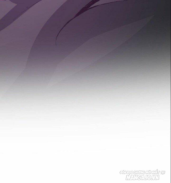 Đồ Đệ Của Ta Đều Là Trùm Phản Diện Chapter 75 - Trang 2