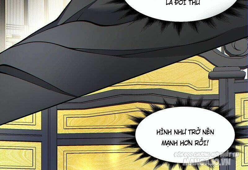 Đồ Đệ Của Ta Đều Là Trùm Phản Diện Chapter 81 - Trang 2