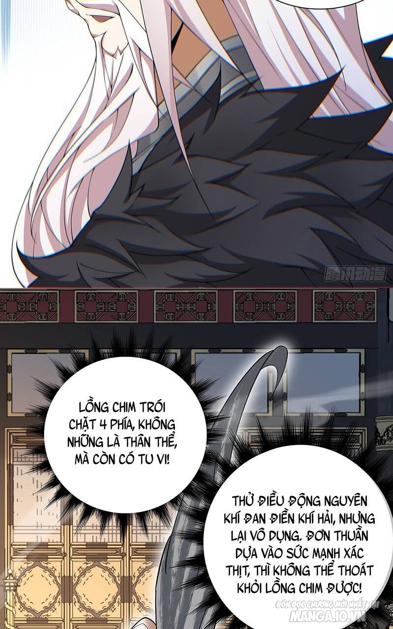 Đồ Đệ Của Ta Đều Là Trùm Phản Diện Chapter 83 - Trang 2