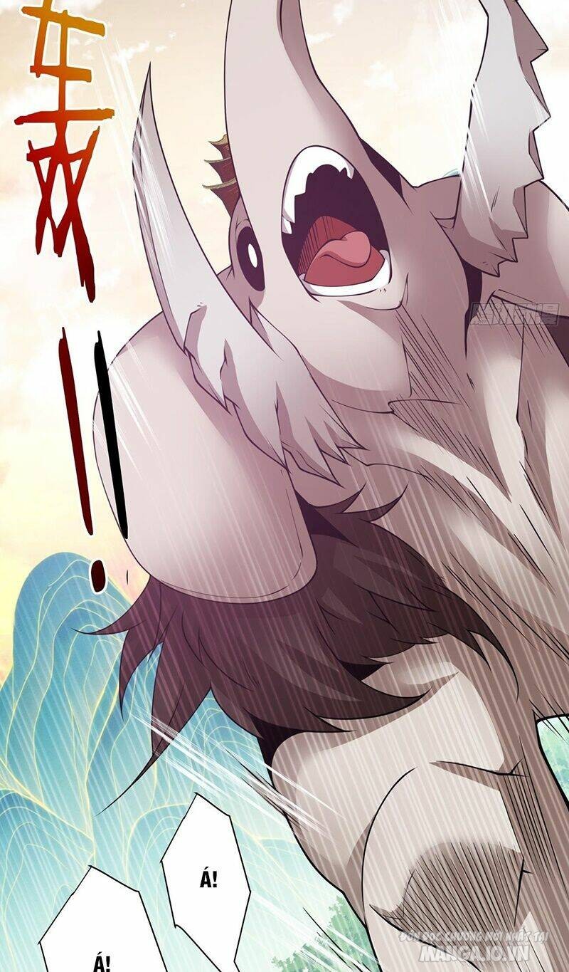 Đồ Đệ Của Ta Đều Là Trùm Phản Diện Chapter 95 - Trang 2