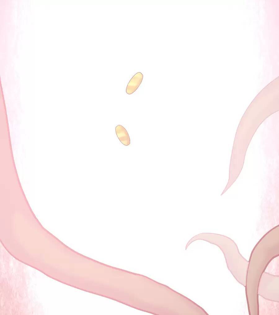 Đồ Long Kỵ Sĩ Hôn Môi Ác Long Chapter 26.1 - Trang 2