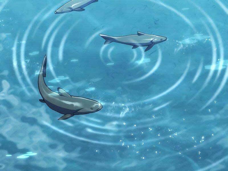 Đồ Long Chapter 11 - Trang 2